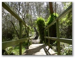 Silver Creek Caravan Park - Beechworth: This bridge leads to several magnificent bushwalks