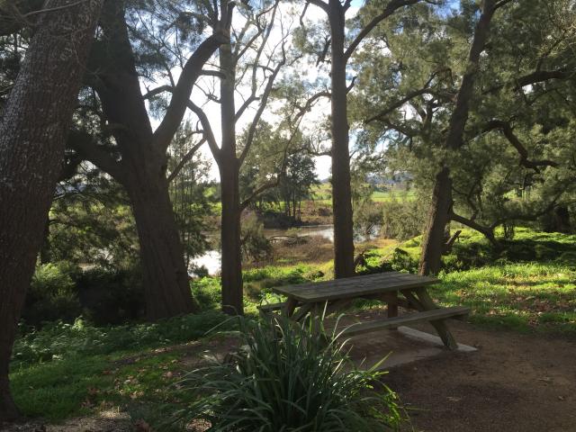 Bega Recreation Reserve - Bega: Picnic area with river views.