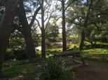 Bega Recreation Reserve - Bega: The Bega Brogo River Junction is a great credit to the town.