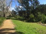 Bega Recreation Reserve - Bega: Nice walking track
