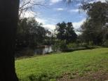 Bega Recreation Reserve - Bega: Nice grassy bank on the river for relaxing.