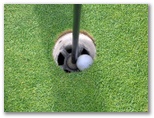 Belmont Golf Course - Belmont: ... and the ball found the hole for a Par
