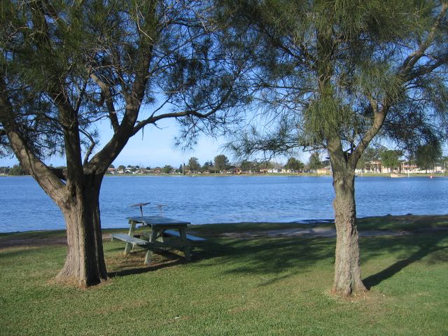 Belmont Pines Lakeside Holiday Park - Belmont: Lakeside picnic area