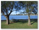 Belmont Pines Lakeside Holiday Park - Belmont: Lakeside picnic area