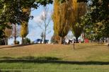 Bendemeer Tourist Park - Bendemeer: Another angle of view of the spacious sites of caravan park