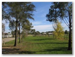 Gold Nugget Tourist Park - Bendigo: Area for tents and camping