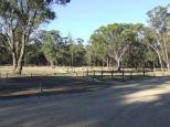 Notleys Picnic Area - Greater Bendigo National Park: TENT SITES NEAR THE ROAD IN