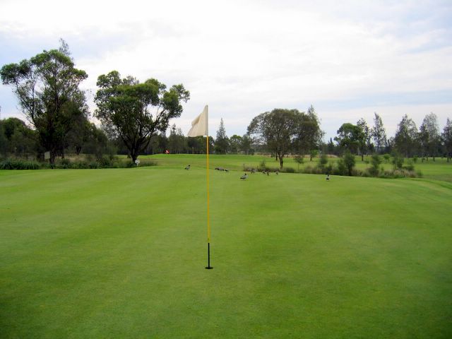 Beresfield Golf Course - Beresfield: Green on Hole 3