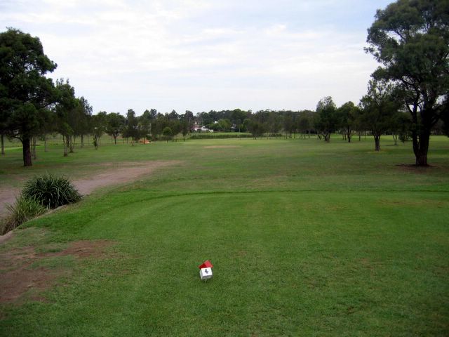 Beresfield Golf Course - Beresfield: Fairway view Hole 4 - note the reeds and water across the fairway on approach to the green