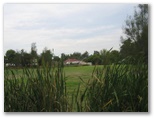 Beresfield Golf Course - Beresfield: Approach to the green - view through the reeds