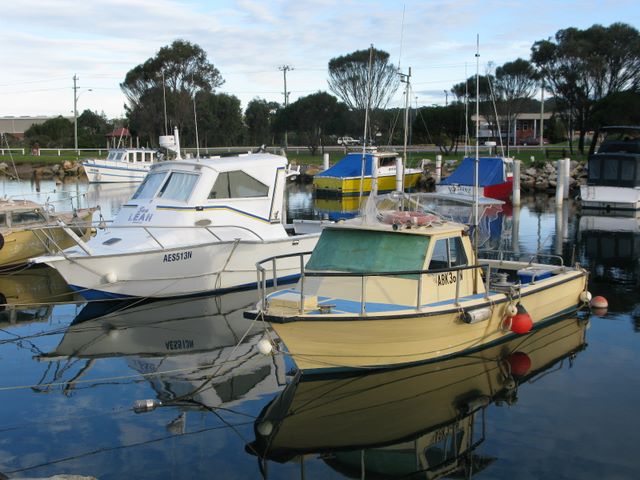 Zane Grey Tourist Park - Bermagui: Boats in the Harbour marina