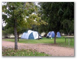 Berri Riverside Caravan Park 2006 - Berri: Area for tents and camping