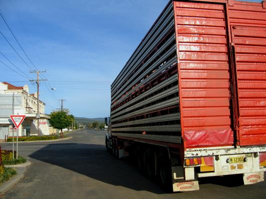 Bingara Riverside Caravan Park - Bingara: Cattle truck passing through Bingara