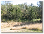 Fat Hen Creek - Black Snake: Natural bushland
