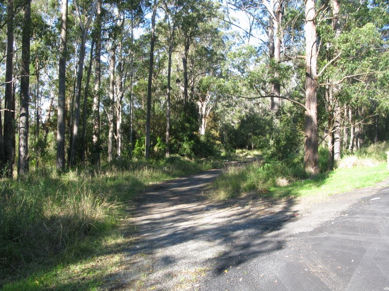 Blackmans Point Road Turnoff - Blackmans Point: Little bus track leads from the sealed area.