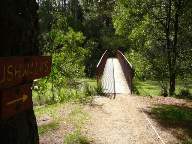 Blackwood Caravan Park - Blackwood: Path to Springs and a Bushwalk
