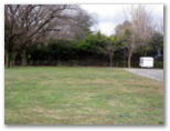 Blayney Tourist Park - Blayney: Area for tents and camping