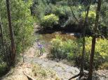 Quarry Reserve - Briagolong: Walk down to the river