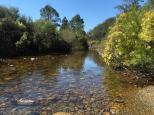 Quarry Reserve - Briagolong: The lovely river near the camp