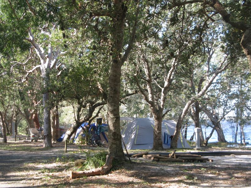 Myall Shores Nature Resort - Bombah Point Via Bulahdelah: Area for tents and camping