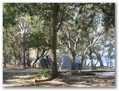 Myall Shores Nature Resort - Bombah Point Via Bulahdelah: Area for tents and camping