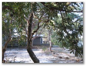 Myall Shores Nature Resort - Bombah Point Via Bulahdelah: Cottages in bushland setting.