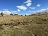 Platypus Reserve - Bombala: Rolling hills and rugged landscape.
