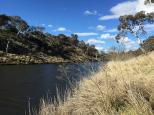 Platypus Reserve - Bombala: Pure water in this river.