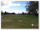 Boorowa Recreation Club Golf Course - Boorowa: Fairway view on Hole 2