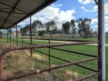 Boort Showground and Harness Racing - Boort: Overview of the Showground looking towards the RV area.