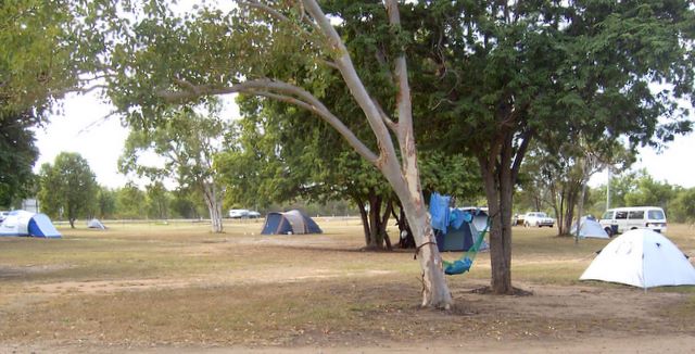 Bowen Palms Caravan Park - Bowen: Area for tents and camping