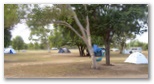 Bowen Palms Caravan Park - Bowen: Area for tents and camping