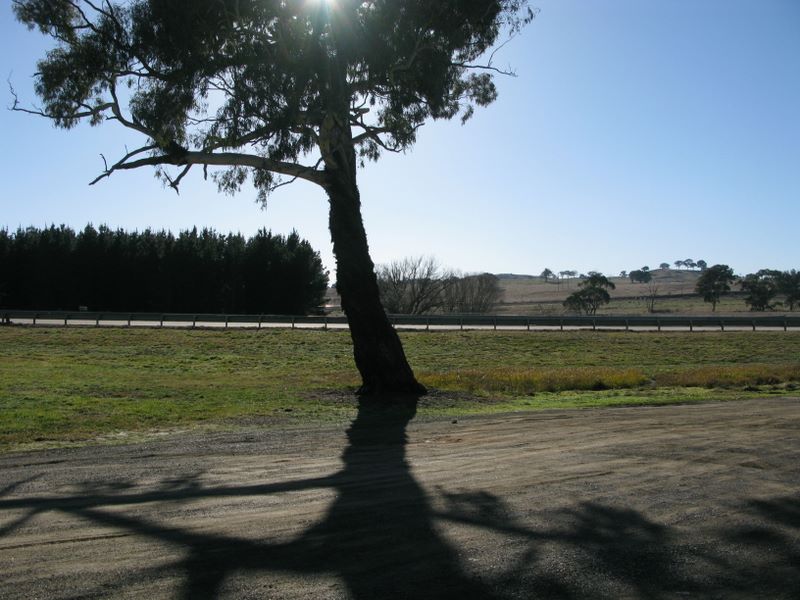 Bowning Hume Highway Rest Area - Bowning: View of the Hume Highway from the rest area.