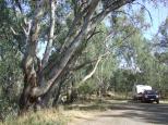 Casey Weir Rest Area - Boxwood: LOT''SA GUM TREES,BIT SHORT ON LAWN MOWERS