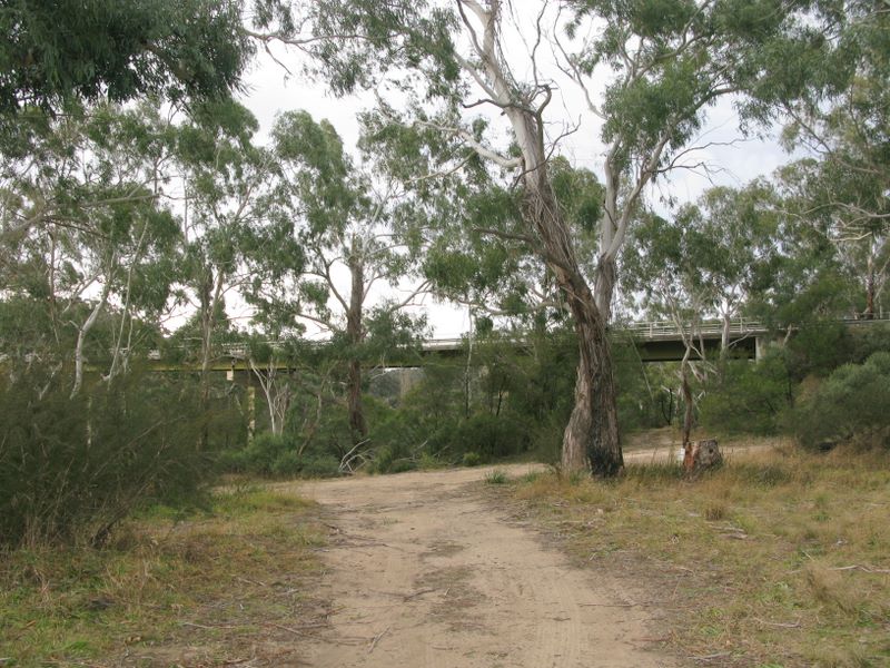 Warri Reserve - Braidwood: Road leading to the river.  The Kings Highway Bridge can be seen in the distance.