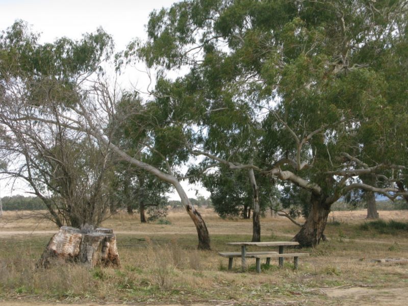 Warri Reserve - Braidwood: Picnic area with some shade