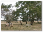 Warri Reserve - Braidwood: Picnic area with some shade