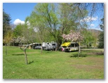 Bright Riverside Holiday Park - Bright: Powered sites for caravans