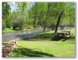 Bright Riverside Holiday Park - Bright: Riverside picnic area