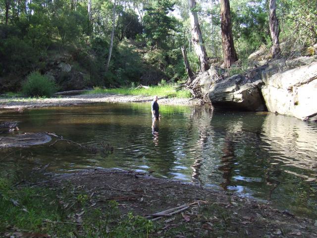 A H Youngs Camping Ground - Buckland: UPPER SWIMMING HOLE