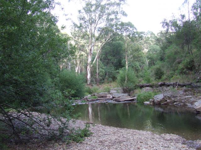 A H Youngs Camping Ground - Buckland: LOWER SWIMMING HOLE
