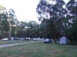 A H Youngs Camping Ground - Buckland: CAMP AREA LOOKING WEST