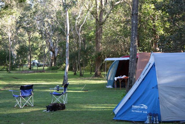 Stopover Tourist Park - Broadwater: Unpowered camping area backs onto Koala Sanctuary.