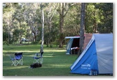 Stopover Tourist Park - Broadwater: Unpowered camping area backs onto Koala Sanctuary.