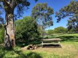 Brodies Plains Campground - Brodies Plains:  Enjoy a cup of tea in a nice rural setting. 