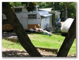 Broken Head Holiday Park - Broken Head: Relax and read in the glorious sunshine!