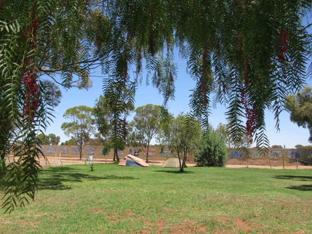 Broken Hill City Caravan Park - Broken Hill: Area for tents and camping