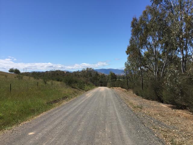 Brooks River Reserve - Koriella: Gravel road access to the campground