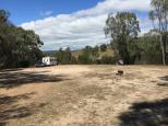 Brooks River Reserve - Koriella: Overview of the campground