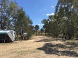 Brooks River Reserve - Koriella: Areas for caravans and tents